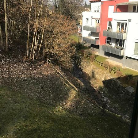 Gaestezimmer Am Oos Bach Баден-Баден Екстериор снимка